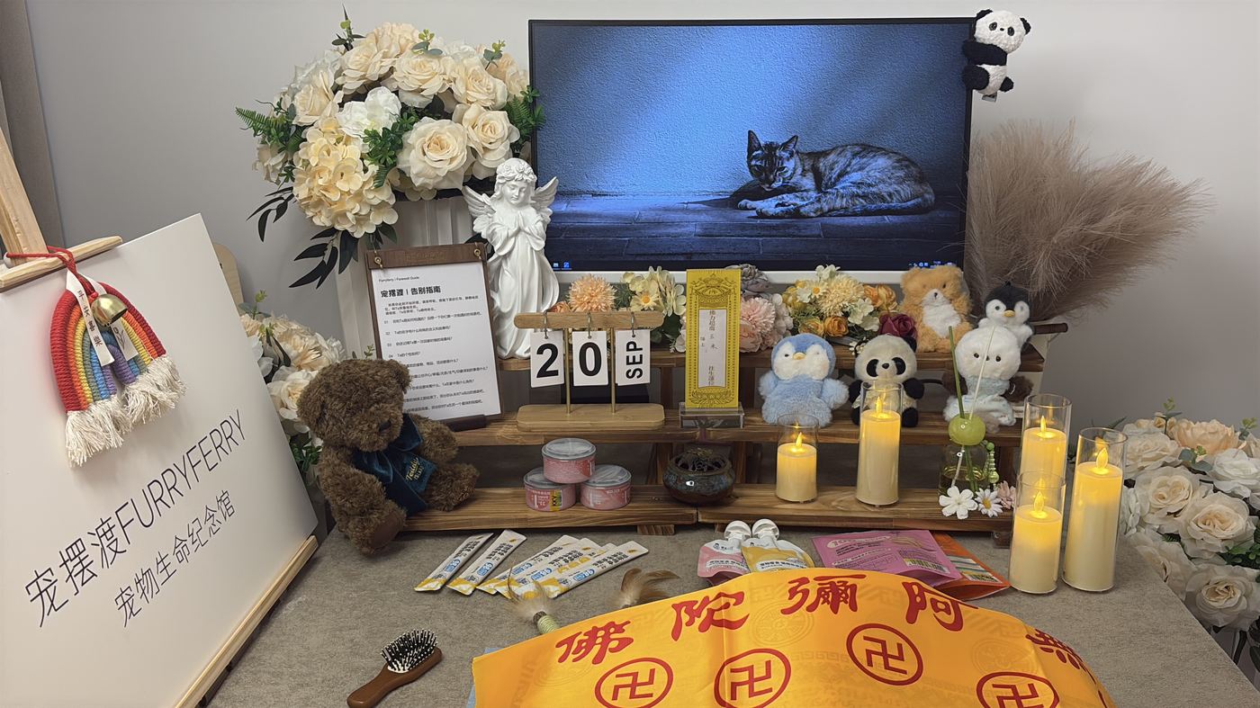 台州宠物告别厅布置：如何给海州家属一个体面的告别