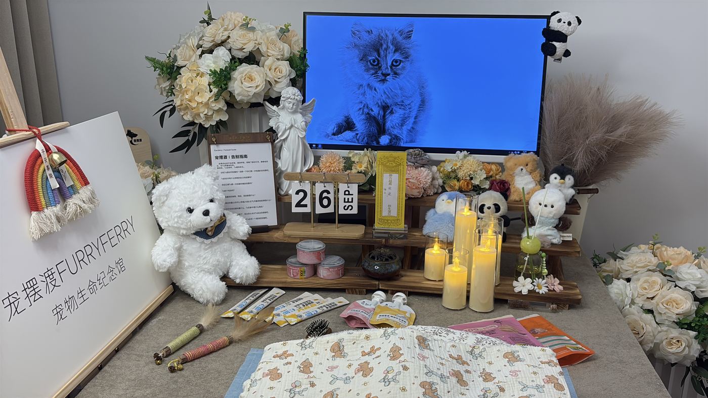 台州宠物殡葬办理指南：流程、费用与注意事项